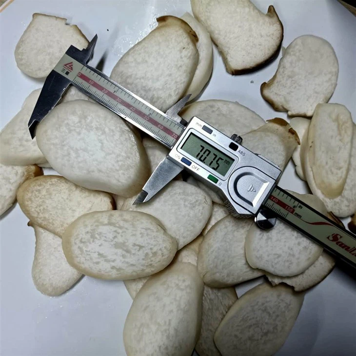 king oyster mushroom slice