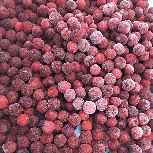 IQF frozen waxberry for processing