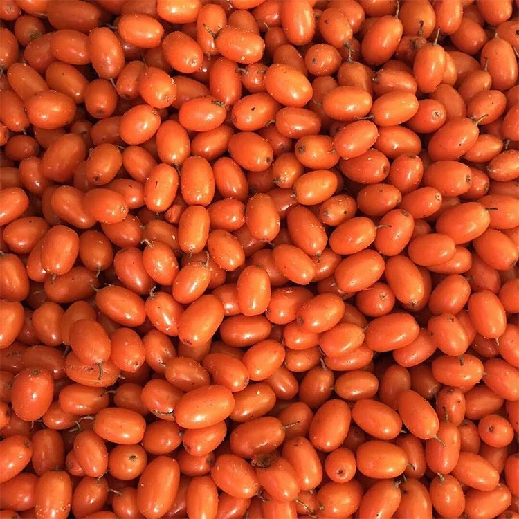 IQF sea buckthorn supplier