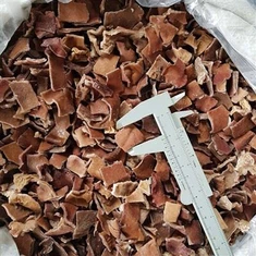 Geraspte zwarte schimmel