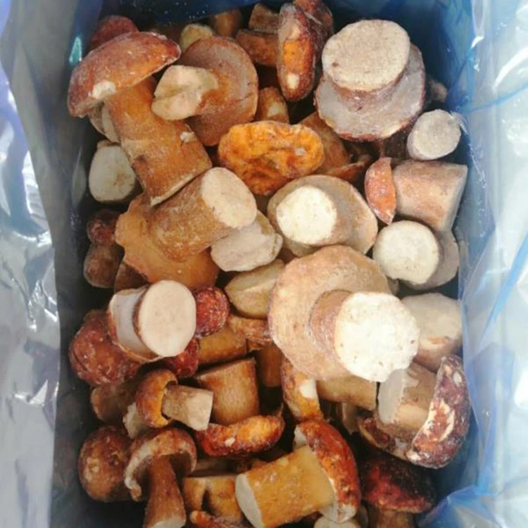 frozen porcini mushrooms supplier frozen porcini mushrooms supplier
