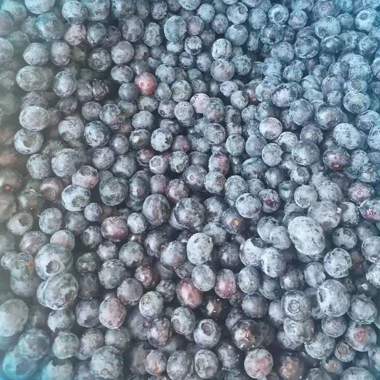 blueberry frozen price